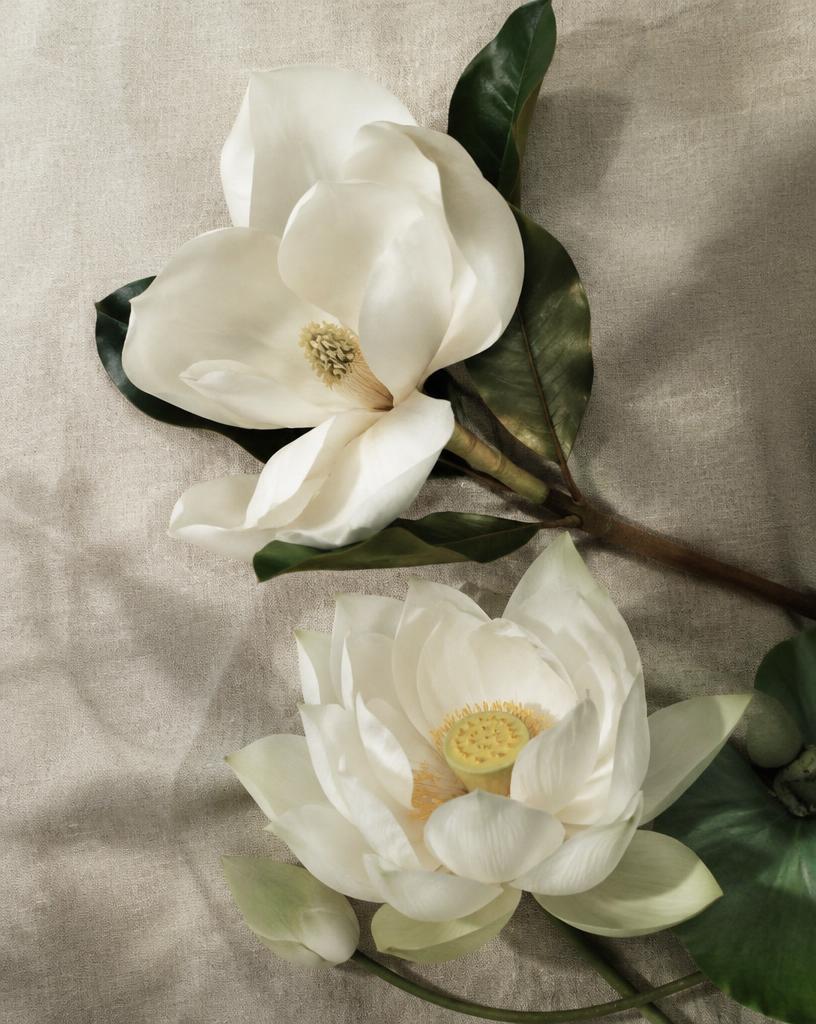 Magnolia and lotus on linen